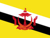 eSIM Brunei