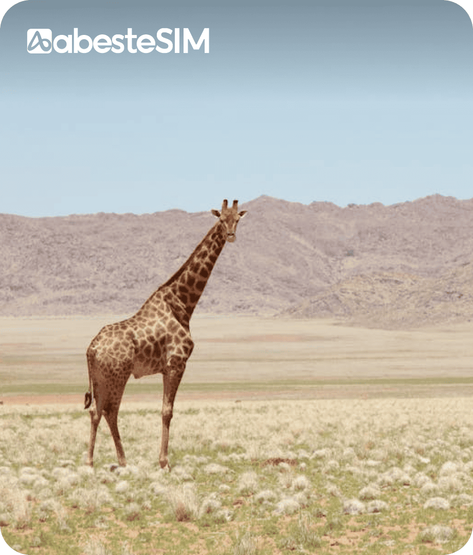 eSIM Africa (14 Countries)