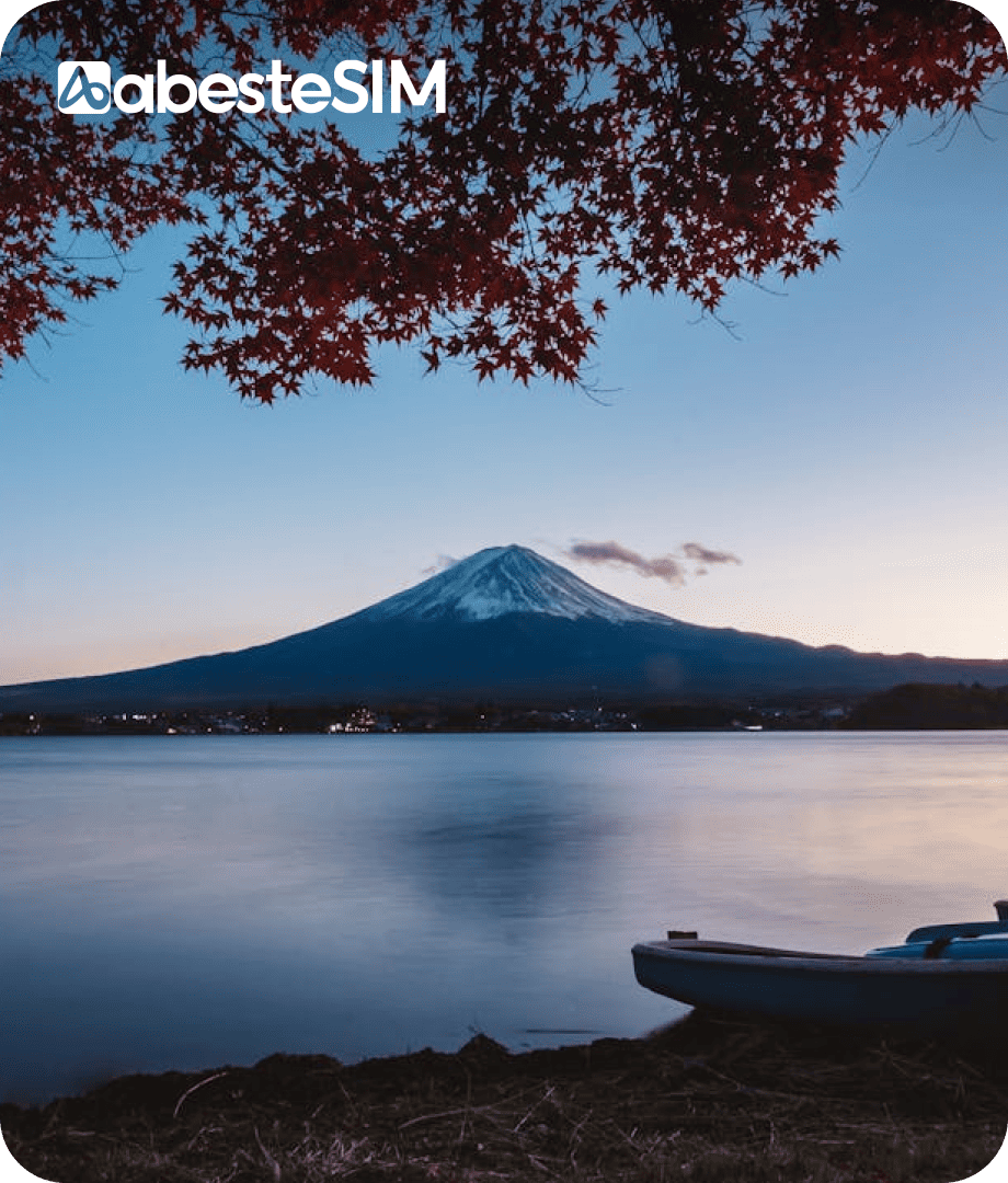 eSIM Japan (NTT Docomo, Local IP)