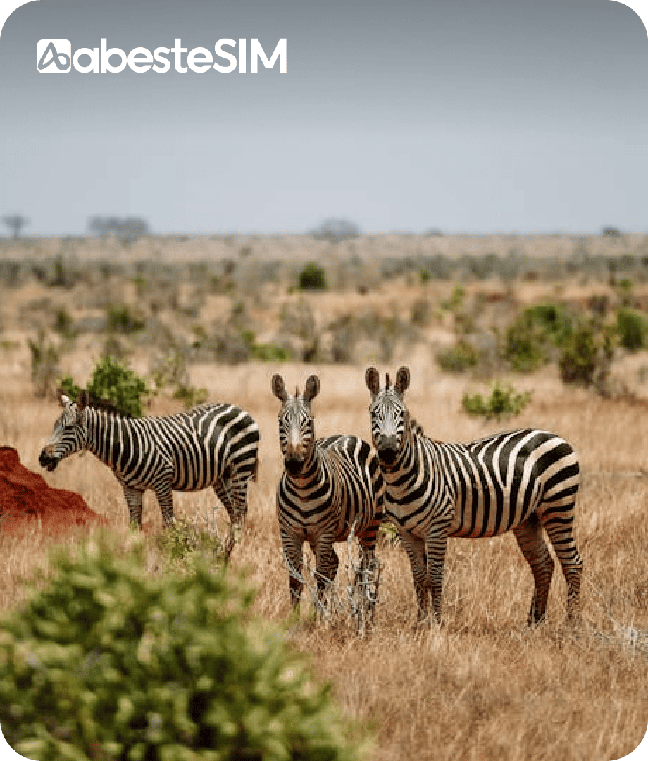 eSIM Kenya