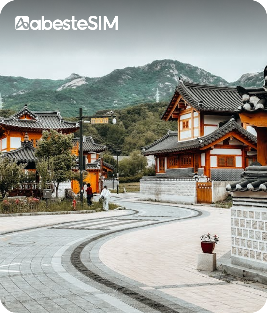 eSIM South Korea (Support Tiktok)