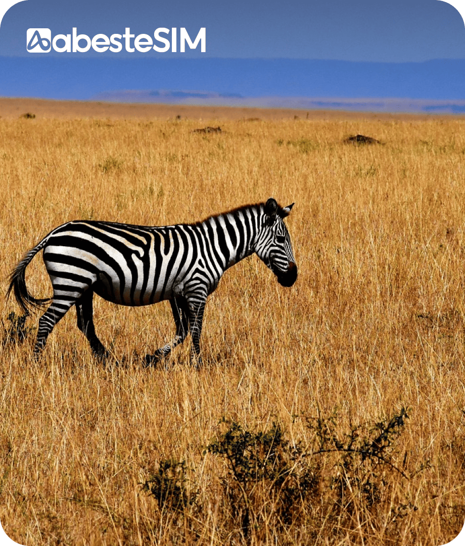 eSIM Tanzania