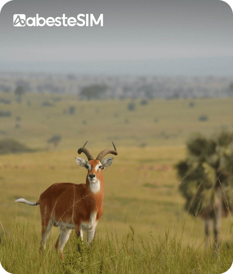 eSIM Uganda