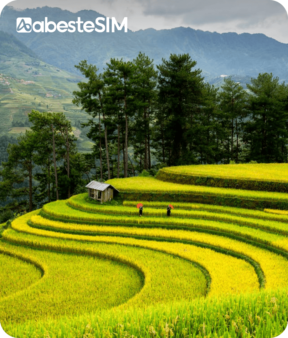 eSIM Vietnam
